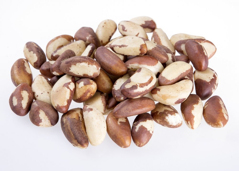 Find lækre nødder fra hele verden online
